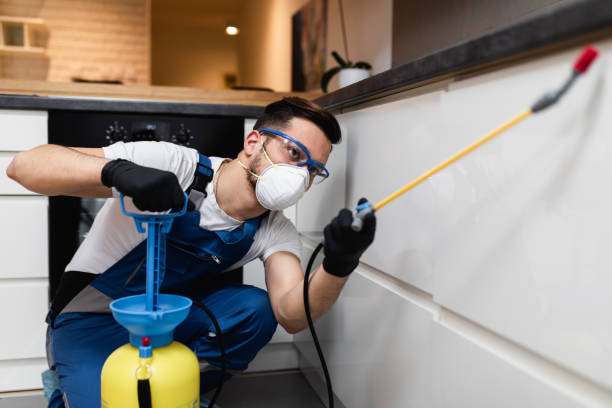 Best Pest Removal Services  in Lillian, AL