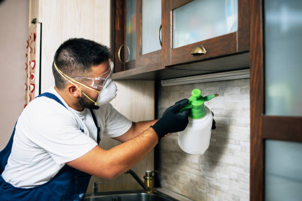 Best Emergency Pest Control  in Lillian, AL