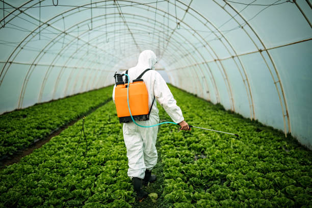 Best Pest Control Near Me  in Lillian, AL