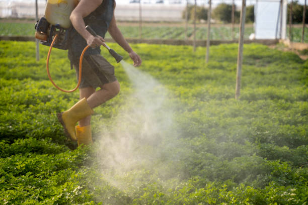 Best Affordable Pest Control Services  in Lillian, AL