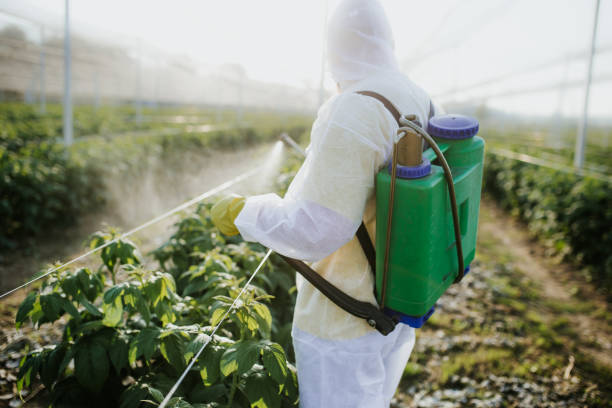 Trusted Lillian, AL Pest Control Experts